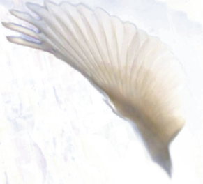 In the Shadow of Huma's Wing